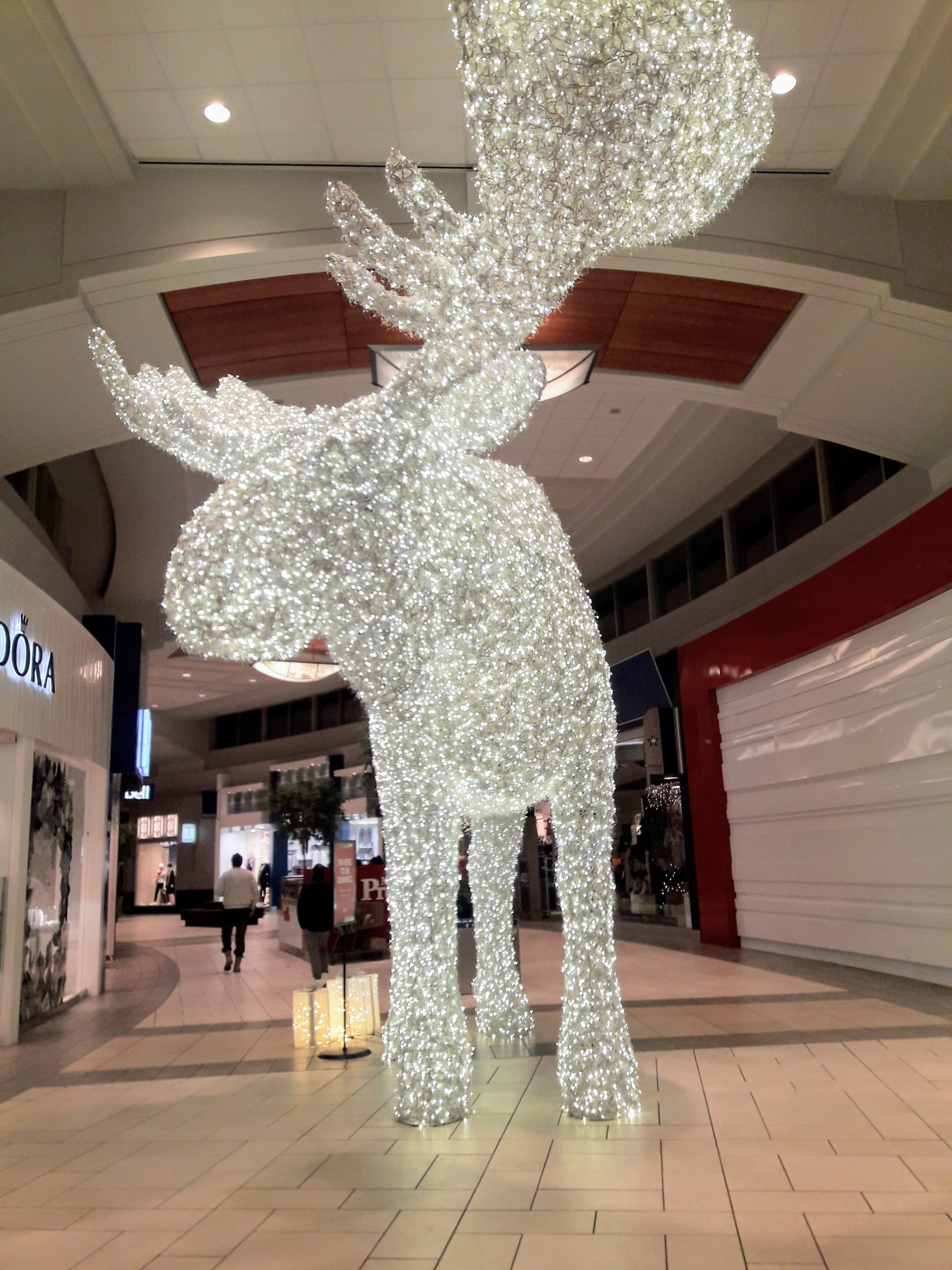 Christmas moose
